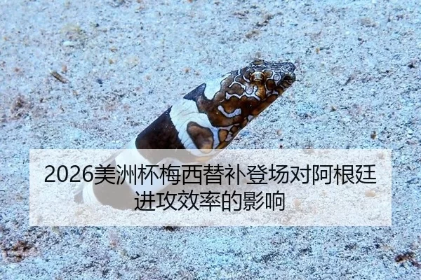 2026美洲杯梅西替补登场对阿根廷进攻效率的影响